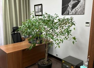 Аренда офиса, 150 м2, Москва, 1-й Смоленский переулок, 21, 1-й Смоленский переулок