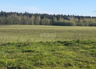 Участок на продажу, 15 сот., деревня Козицыно