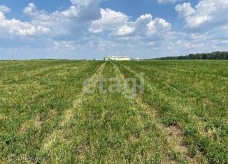 Продается земельный участок, 9.5 сот., деревня Добрунь, Центральная площадь