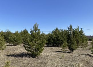 Продаю земельный участок, 11 сот., деревня Булдаки, деревня Булдаки, 4