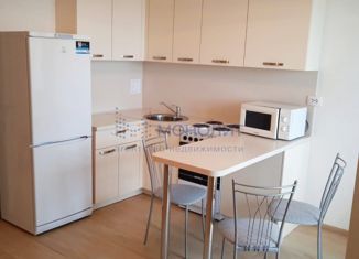Квартира на продажу студия, 25 м2, Нижний Новгород, Советский район, Новокузнечихинская улица, 11