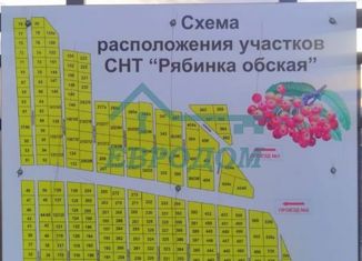 Продаю участок, 5.3 сот., СНТ Рябинка Обская, Западная улица, 7