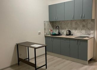 Сдаю в аренду квартиру студию, 27 м2, Санкт-Петербург, Торфяная дорога, 15к3