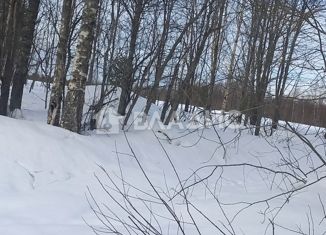 Продажа участка, 2400 сот., деревня Педасельга, деревня Педасельга, 19