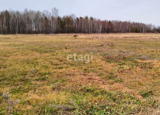 Продам земельный участок, 10 сот., село Тамбовка, Северная улица