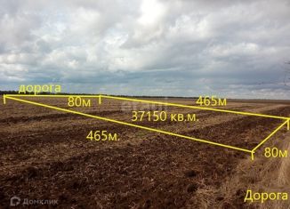 Земельный участок на продажу, 371.5 сот., Николаевское сельское поселение