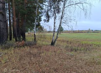 Продается участок, 240 сот., деревня Старово