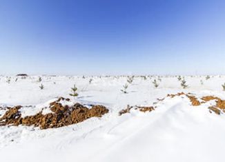 Земельный участок на продажу, 317 сот., поселок Круглое Поле, улица Гагарина