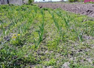 Продам земельный участок, 31 сот., деревня Поляна