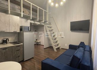 Продажа квартиры студии, 25 м2, Санкт-Петербург, Лиговский проспект, 47, метро Площадь Восстания