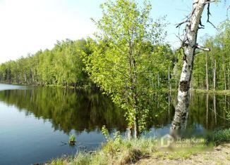 Участок на продажу, 11 сот., деревня Наумово, Мирная улица, 5