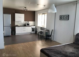 Квартира на продажу студия, 45.2 м2, Новосибирск, улица Дениса Давыдова, 1/2, улица Дениса Давыдова