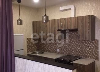 Продаю квартиру студию, 28.4 м2, посёлок Берёзовый, Декоративная улица, 1/5к2, ЖК Берёзовый Парк