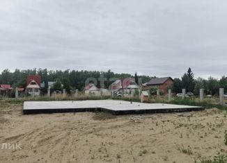 Продается участок, 10.7 сот., садоводческое некоммерческое товарищество Электрон