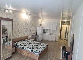 Сдается квартира студия, 30 м2, Новосибирск, Русская улица, 42В, Советский район