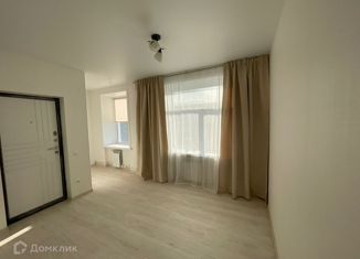 Продажа 1-комнатной квартиры, 24 м2, село Мирное, Рабочая улица, 5