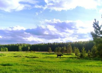 Продажа дома, 50 м2, деревня Походилова