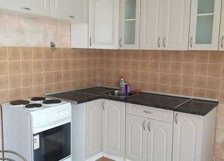 Однокомнатная квартира в аренду, 40 м2, Москва, Новомарьинская улица, 18, метро Братиславская