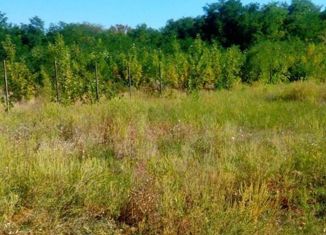 Земельный участок на продажу, 6 сот., Ростов-на-Дону, садовое товарищество Луч, 170, Первомайский район