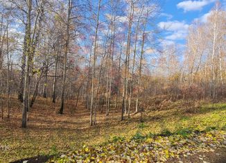 Продажа участка, 18 сот., село Новокаменка, Луговая улица