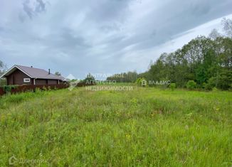 Продам участок, 25 сот., деревня Иванчино, Новая улица