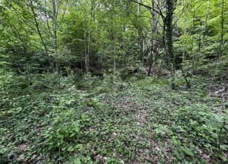 Продажа участка, 9.7 сот., СТ Светлая поляна