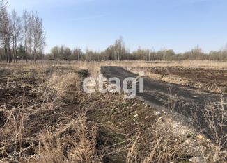 Продается земельный участок, 8 сот., деревня Лепсари, 41К-202