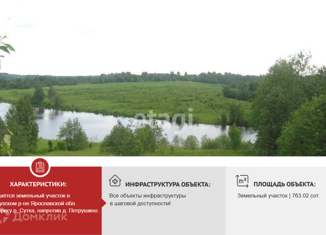 Продажа земельного участка, 763.02 сот., деревня Петрушино