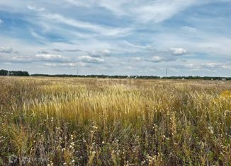 Земельный участок на продажу, 10 сот., деревня Малиновка 1-я, Виноградная улица, 13