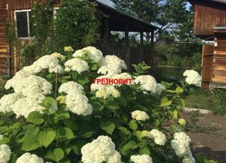 Продам дом, 84 м2, садовое товарищество Калина красная, Центральная улица