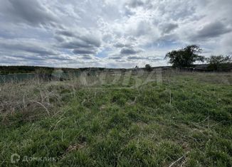 Продается земельный участок, 110 сот., село Борки