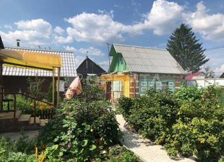 Дом на продажу, 40 м2, СНТ Рассвет-1, Центральная улица, 11