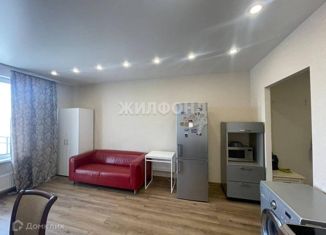 Продам квартиру студию, 28 м2, Новосибирск, улица Некрасова, 41, улица Некрасова