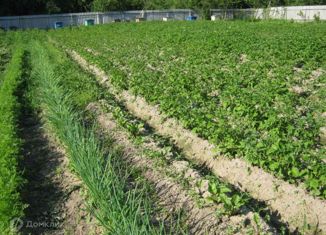 Продам дом, 77.2 м2, поселок городского типа Красный, Лесная улица, 56