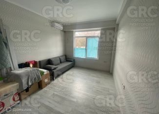 Продажа квартиры студии, 18 м2, село Орёл-Изумруд, Петрозаводская улица, 32