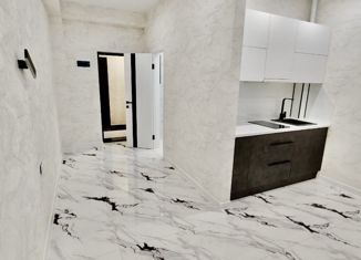 Однокомнатная квартира на продажу, 22.3 м2, Сочи, улица Калараша, 64/13к9, ЖК Семейный