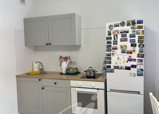 Продажа квартиры студии, 24.08 м2, поселение Десёновское, 3-я Нововатутинская улица, 2