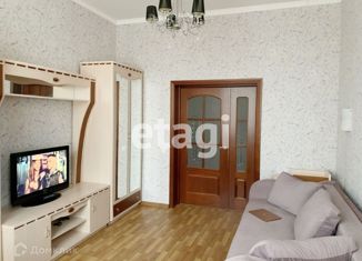 2-комнатная квартира в аренду, 46 м2, Санкт-Петербург, Вяземский переулок, 4, метро Чёрная речка
