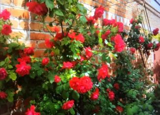 Продаю дом, 170 м2, село Красный Октябрь, улица Пономарёва