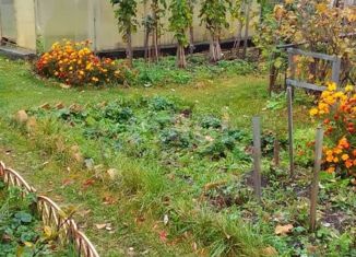 Дом на продажу, 24 м2, СНТ Теренкуль, Светлая улица