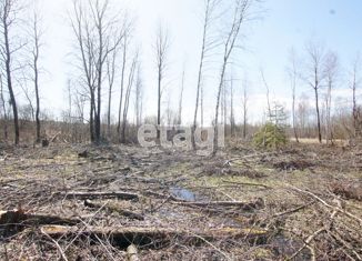 Продаю участок, 19.47 сот., деревня Мандрино