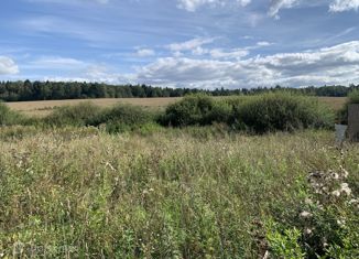 Продается земельный участок, 12 сот., деревня Кучи