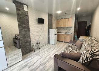 Продаю квартиру студию, 18.7 м2, Воронеж, Ростовская улица, 100БкА, ЖК Интурист