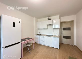 Сдаю квартиру студию, 29 м2, Санкт-Петербург, проспект Энергетиков, 9к6