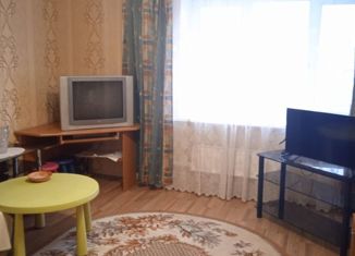 2-комнатная квартира в аренду, 48.5 м2, Нижний Новгород, Медицинская улица, 13, Приокский район
