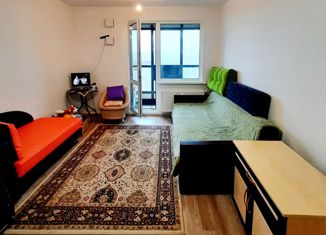 Продается квартира студия, 21.8 м2, Санкт-Петербург, Северный проспект, 127к1, Северный проспект