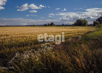 Продается земельный участок, 220 сот., село Сабуровка