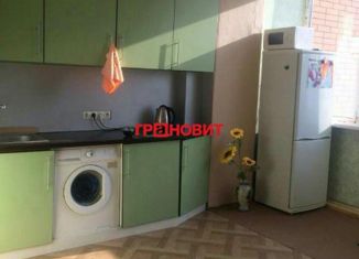 Продаю квартиру студию, 33 м2, Новосибирск, Воскресная улица, 4/1, Воскресная улица