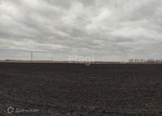 Продажа земельного участка, 10 сот., село Семилуки, Подгорная улица