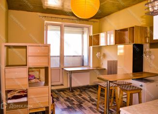 Квартира в аренду студия, 21.6 м2, деревня Кудрово, Пражская улица, 11